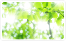 吉村こどもクリニック(明石)